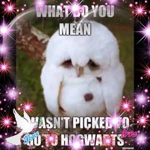 Meet your Posher, Kristina